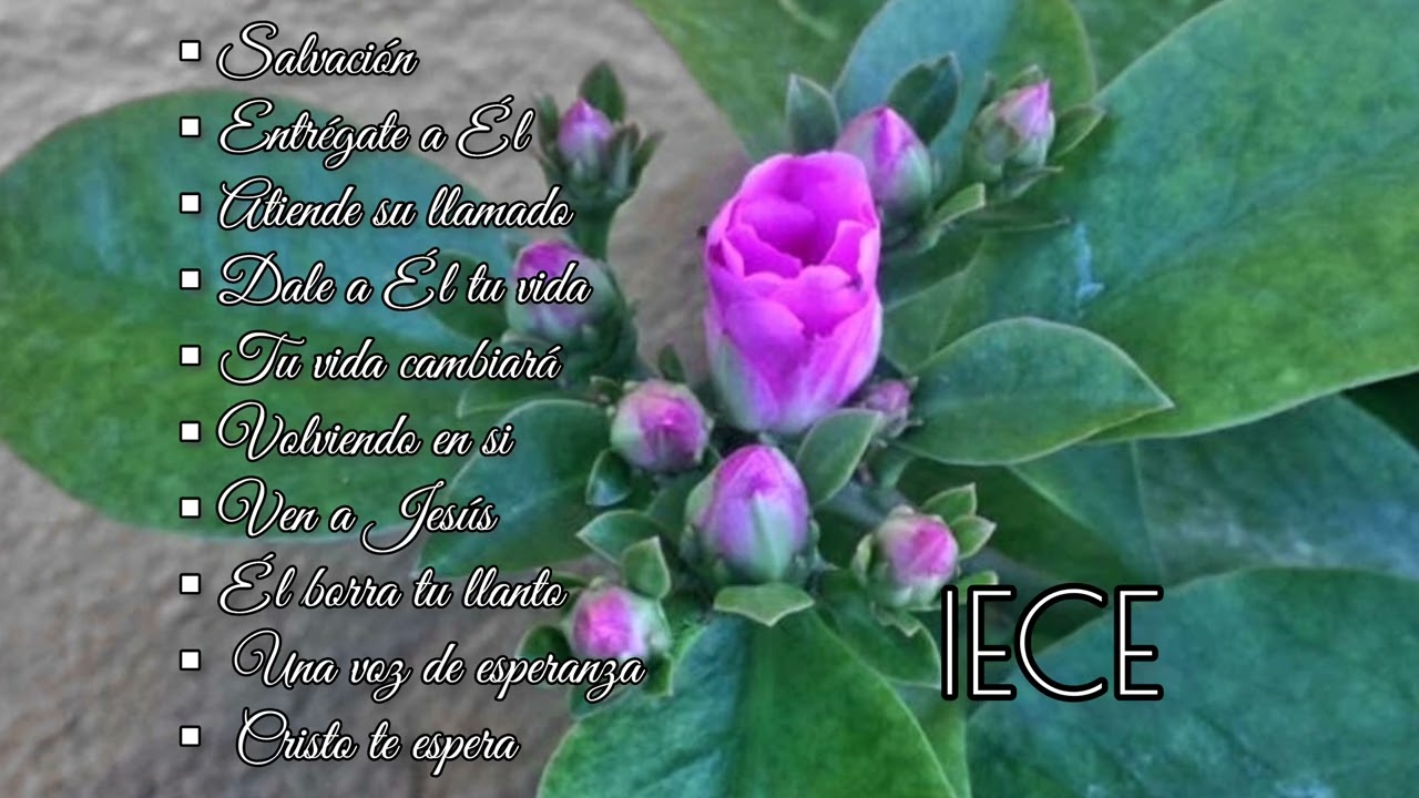 IECE Selección de Himnos de Evangelismo.