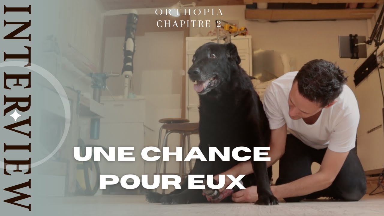 UNE SOLUTION POUR NOS ANIMAUX - Orthopia