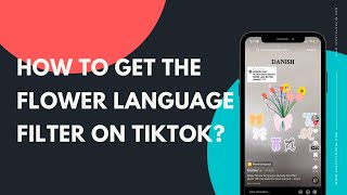 How to get the Flower Language filter on TikTok