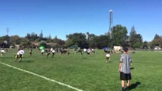 IMG 9111