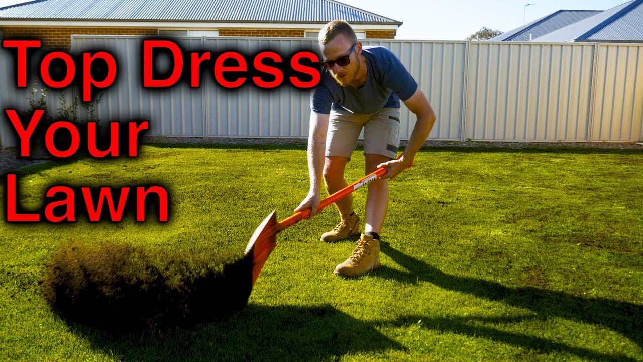 How To Top Dress Your Lawn Youtube
