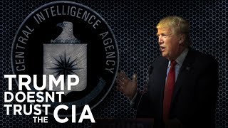 Trump Moves To Destroy CIA As US Forces Flood Into Syria Under Russian Protection