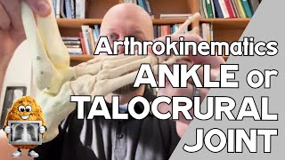 Ankle or Talocrural Joint (TCJ) Arthrokinematics