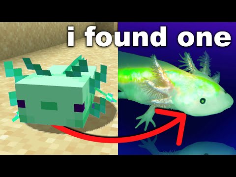 I Bought My Friend the Rarest Minecraft Axolotl in Real Life
