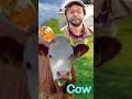 Old MacDonald Animals Nurseryrhymes Kidssongs Kidsvideo Song Children Kids Toddlers Fun 