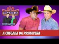 Cleiton Viola &amp; Henrique - A chegada da Primavera (Live Joaquim &amp; Manuel)