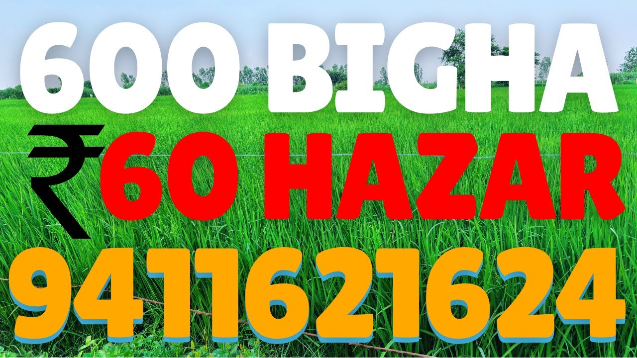 600 Bigha jamin bikau 60 Hazar / Bigha 