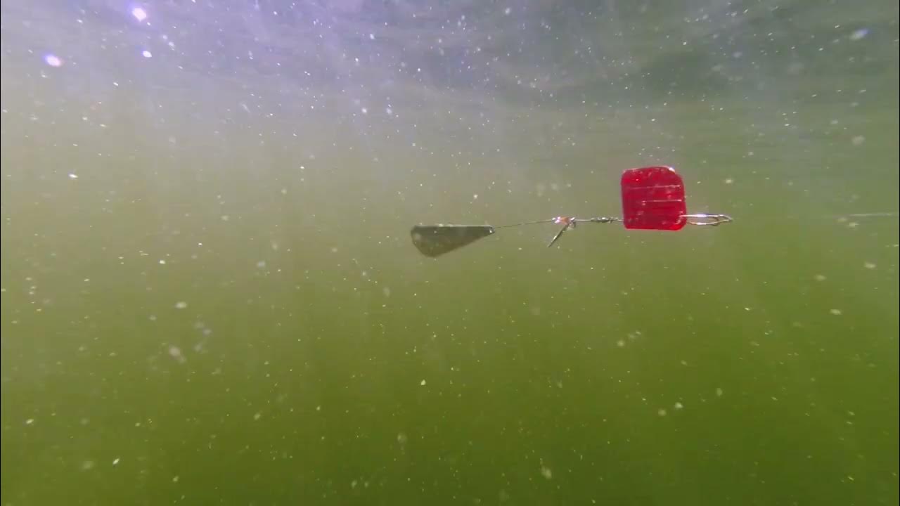 Trout and Trolling Tassie Devil Ford Fenders and Cowbells YouTube