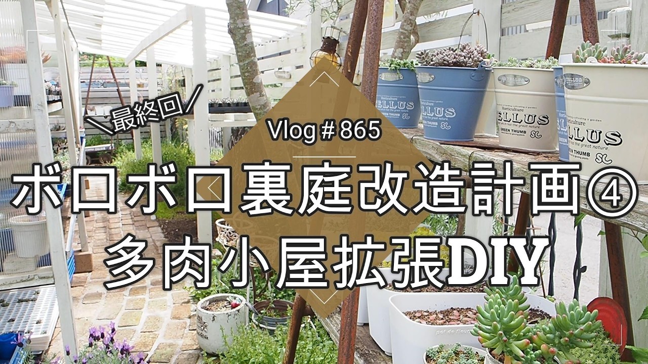 【Vlog865】【多肉植物】最終回!ボロボロ裏庭改造計画④多肉小屋拡張DIY【バックヤード有効活用】