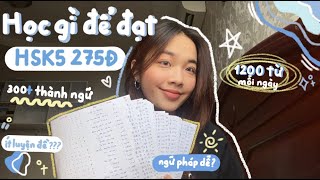Mình Đã Ôn Những Gì Để Đạt 275Đ Hsk5??? Chinese