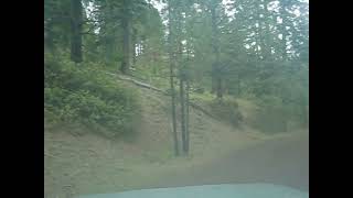 Trail update :Lower McKay Creek Road to West Fork Mill Creek Road