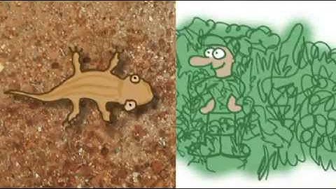 Cloaking Using Nanotechnology