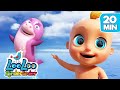 Baby Hai | Kinderreime für Kinder | Tanzlieder | LooLoo Kinderlieder