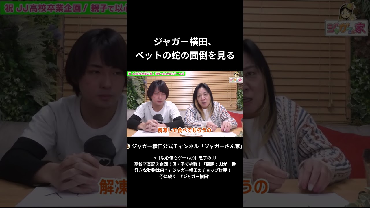 ジャガー横田、ペットの蛇の面倒を見る　 #ジャガー横田 #親子 #shorts