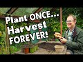 5 mustgrow perennial vegetables harvest year after year 