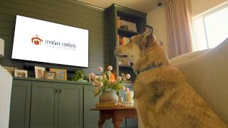 CREATURE COMFORTS OVERVIEW 15