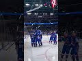 🏒 Капитан решил в овертайме! #ска #хоккей #кхл #hockey #khl