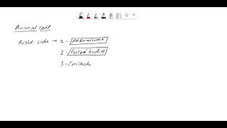 Art-Labeling Activity: The Cell and Its Organelles