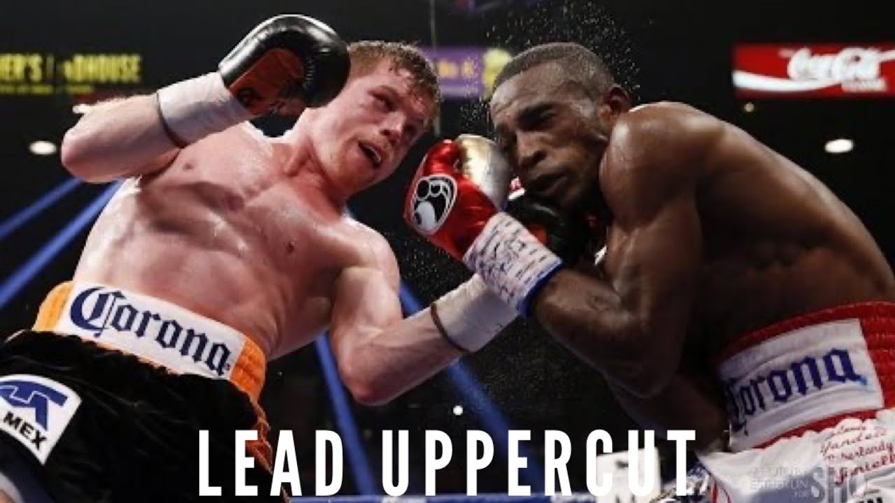 THE LEAD UPPERCUT YouTube