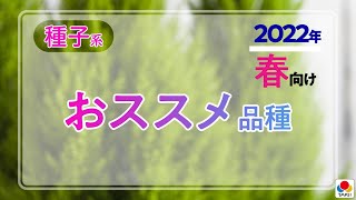 【園芸】2022年春向け タキイの種子系・最新おススメ品種