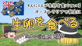 生卵 Youtube