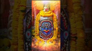 Ujjain Me Har Rang Ke Dewane Milengebholenath mahakal ujjain Bholenath love  trending 