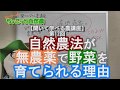 【聞いて学べる農講座】第12回:自然農法が無農薬でも野菜が育つ理由