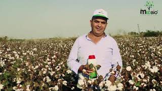 Medbio Topraktaki Mucize