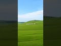 The Beauty of Inner Mongolia Grassland in China #grassland #innermongolia #china