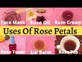 Uses & benefits Of Rose Petals|DIY ROSE OIL,ROSE CREAM,ROSE FACE MASK,ROSE TEA,ROSE LIP BALM,TONER