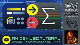 Connecting KORG Gadget to AUM And AUM To KORG Gadget