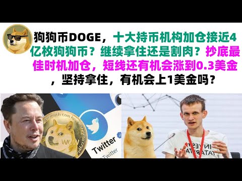 狗狗币DOGE，十大持币机构加仓接近4亿枚狗狗币？继续拿住还是割肉？抄底最佳时机加仓，短线还有机会涨到0.3美金，坚持拿住，有机会上1美金吗？马斯克狗狗币|DOGE行情分析!