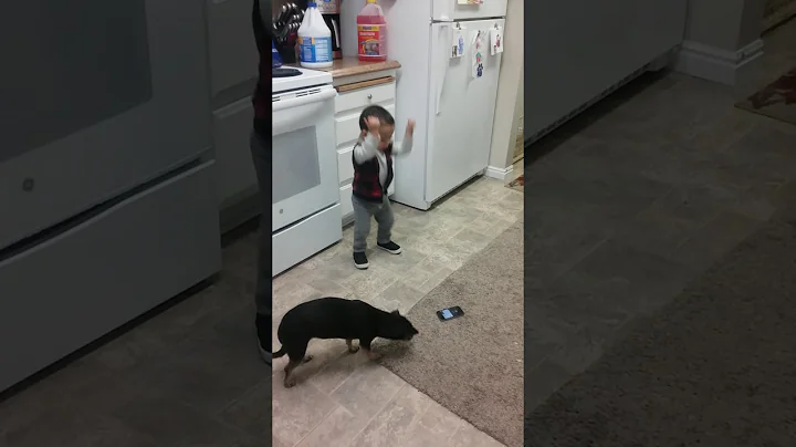 1.5 year old dancing to Panda