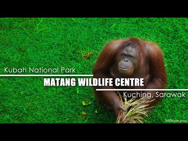 Matang wildlife centre