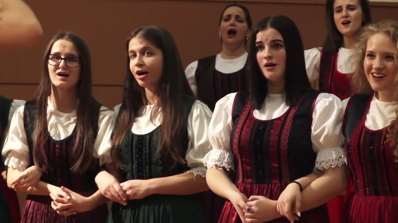 Lajos Bárdos: Magos a rutafa