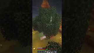 MyCalmCraft adventure [3103] #minecraft #cozynights #gaming