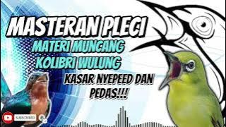 MASTERAN PLECI | MATERI MUNCANG (KOWUL) KASAR NYEPEED DAN PEDAS‼️ #sogon #sogongacor #sogokontong
