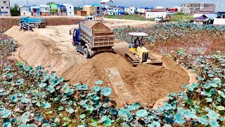 Full Video Land Reclamation Operating By Mini Dump Truck Unloading Soil & Sand And Dozer Pushing