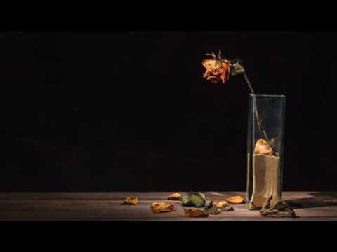 Cuantas Noches de Desvelo tengo que Esperar - Poem of Sadness