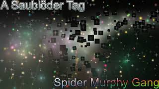 Rockclassics: Spider Murphy Gang - A Saublöder Tag