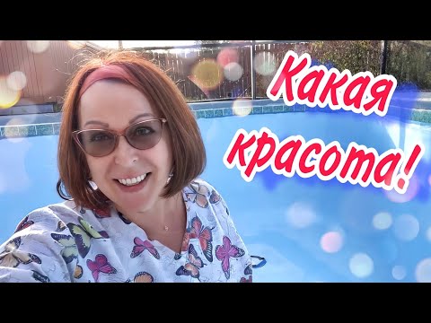 Video: Katera ameriška mesta letijo neposredno v Budimpešto?