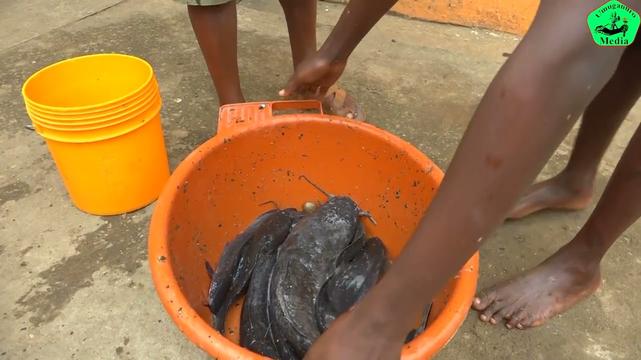 WARI USANZWE UZI INGENE BIMISHA AMAFI  BAKORESHEJE URUSHINGE ? KURIKIRANA INO VIDEO UVYIRABIRE.