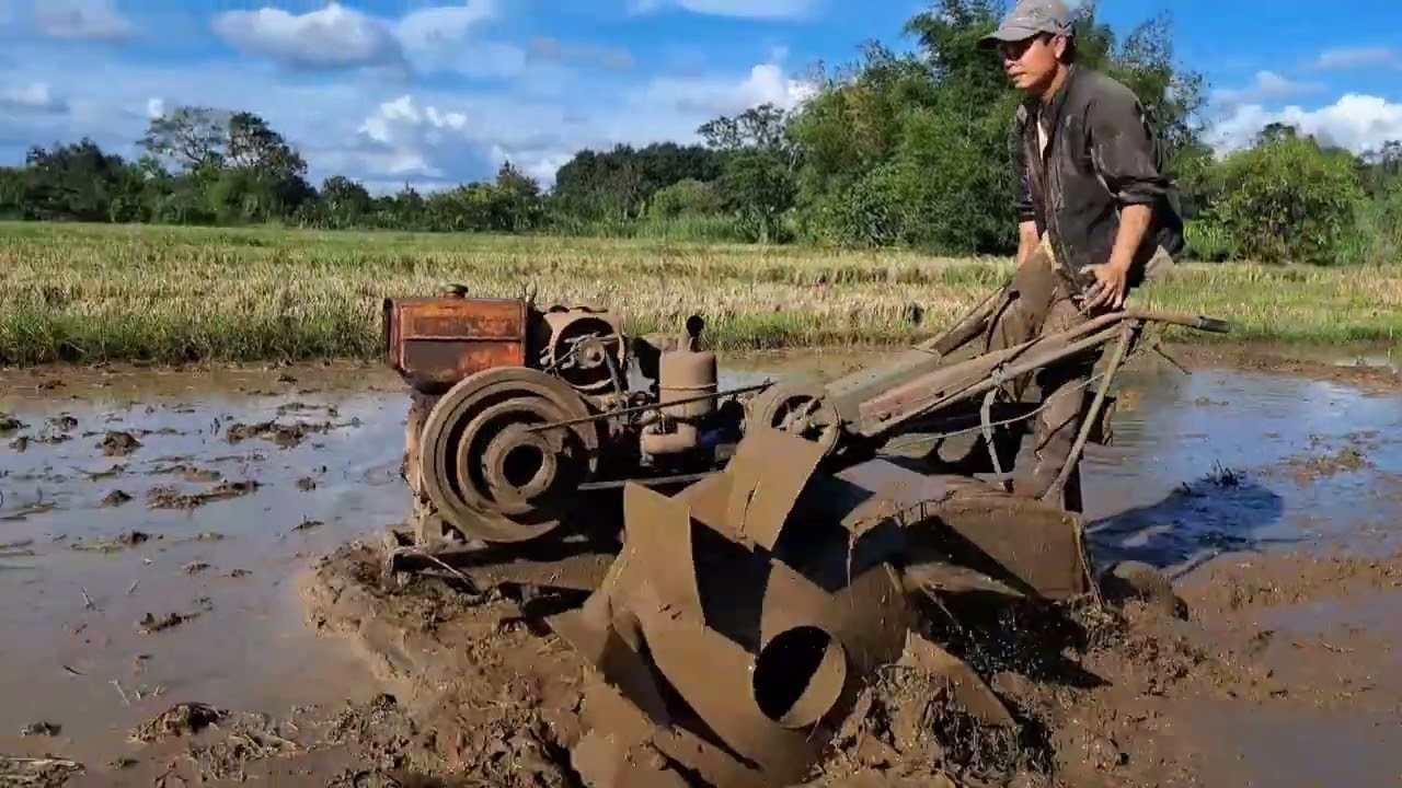 Vất vả giải cứu chiếc xe bị lún sâu trong ruộng lầy.