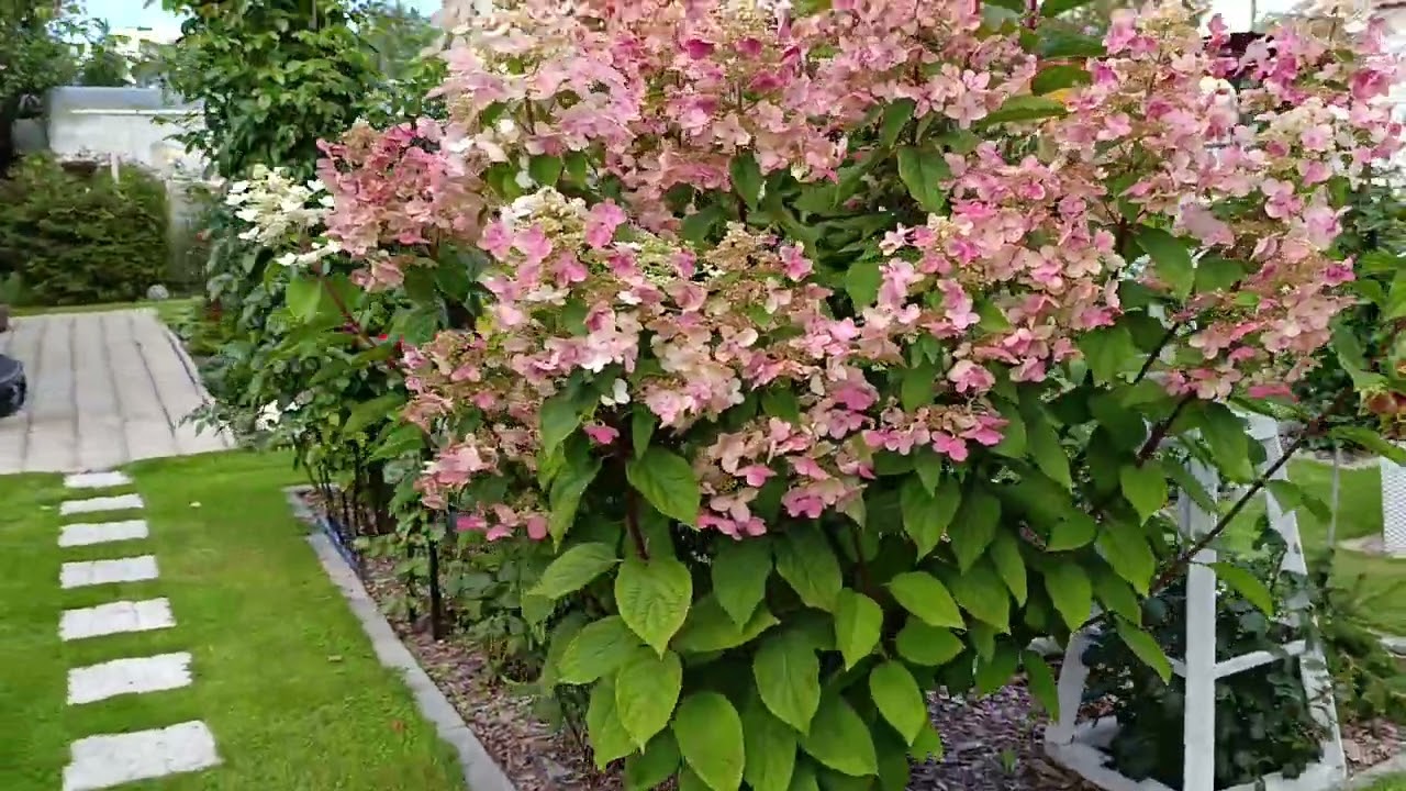 17 августа 2025 г.