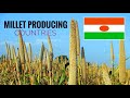 Top 10 worlds pearl millet producing agricultural countries