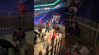 Mercury bring literal GOAT zoo for Diana Taurasis Ring of Honor game #wnba