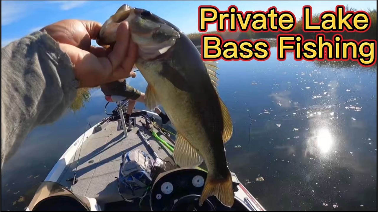Bass Fishing On A Private Lake