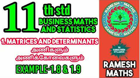 11th Business maths/chapter1/ Matrices and Determinants/Example 1.8 & 1.9