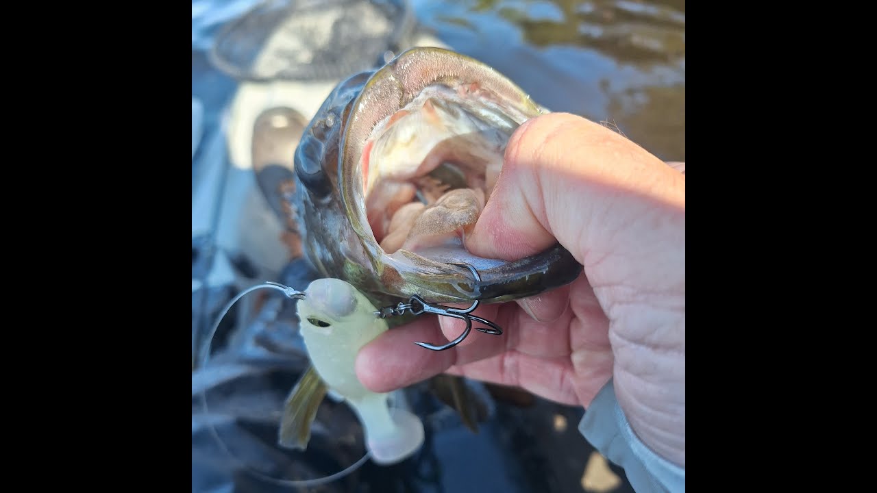Junk Fishing Smash-fest for Fall Smallmouth!!! - YouTube