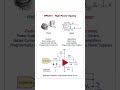 OPA541 - High Power Operational Amplifier